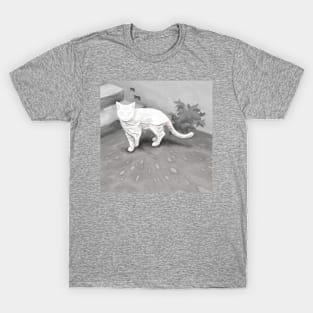 Calm Cat T-Shirt